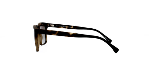 Suntrends ST221