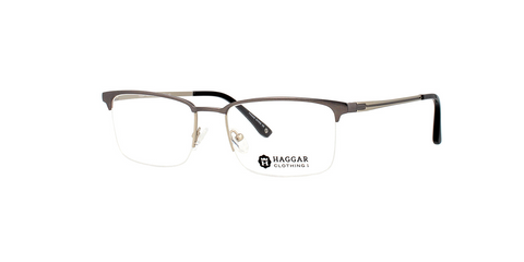 HAGGAR H287